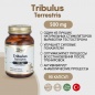  Debavit Tribulus Terrestris 500  90 