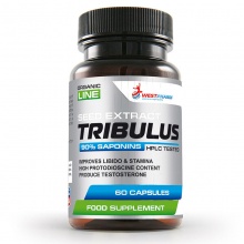 Тестобустер WestPharm Tribulus 500 мг 90 капсул