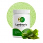  Twist the Planet Laminaria 90 